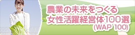 banner2-2.jpg